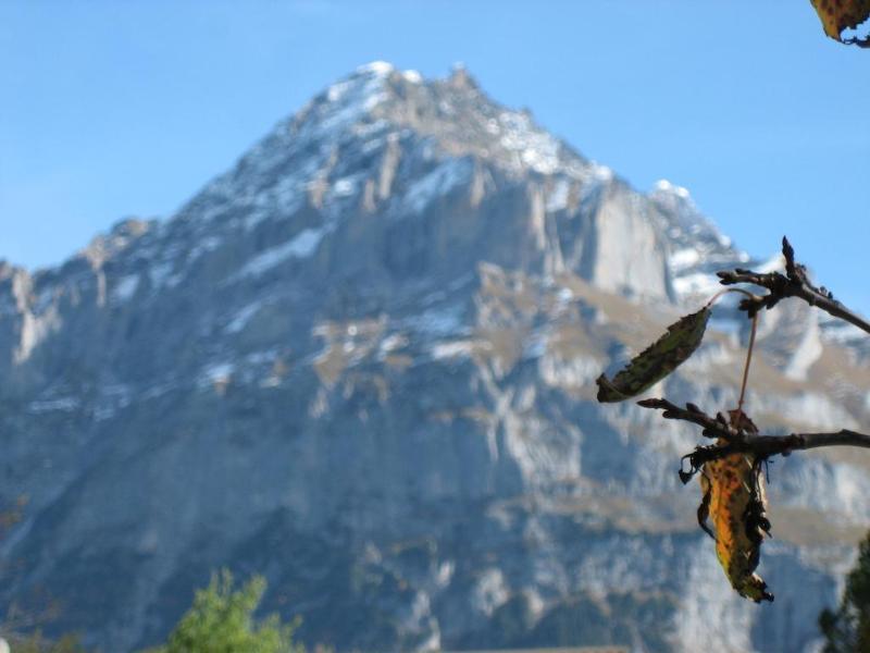 Hotel Gletschertal Grindelwald Ngoại thất bức ảnh